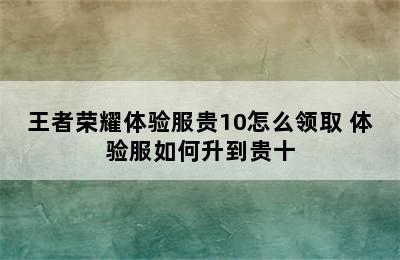 王者荣耀体验服贵10怎么领取 体验服如何升到贵十